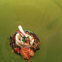 クッチーナ イタリアーナ ガッルーラ - 