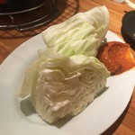 炭火ホルモン焼 夏冬 - キャベツ