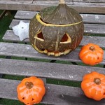 タンネンバウム - 外に飾ってあったよ