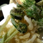 Takenokoya - 白魚と山菜のてんぷら。抹茶塩