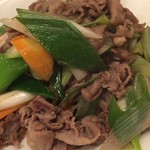 モンゴル料理居酒屋 青空アイル - ラムの長ネギ炒め