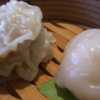 チャイニーズ 芹菜 - 