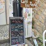 Cafe fig tree - 