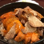 はらまさ - トリュフご飯全部のせ(雲丹、卵黄、牛肉)