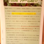 手作りハンバーグ工房Toshi - 2017/10  店舗外観  其の四