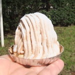 スイーツガーデン ユウジアジキ - 