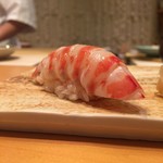 鮨 土方 - 愛知県産天然車海老