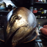 喜助 - 三重産本鮪の頭