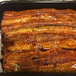 Unagi Hikoboshi - 