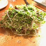 ジュメルニジュウク - 