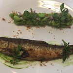 イル プレージョ - 