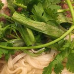 ベトナム料理 アオババ - パクチー・トッピング
