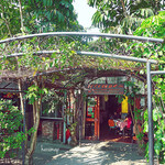 RESTAURANTE FERNANDO - 