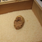 レストラン ラッセ - 29年10月　白トリュフ