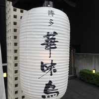 博多華味鳥 銀座4丁目店 - 提灯
