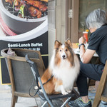 Mint & Basil - ここらへん一帯のレストランは犬連れOKが多い。和む。