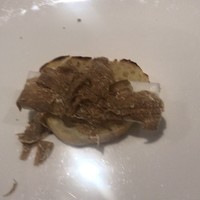 bb9 - 