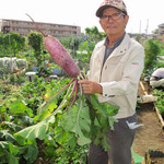 G831 Natural Kitchen & Cafe - 自家農園で野菜を育ててくれている森岡さん。毎朝の手入れが大変。