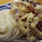手打うどん はりや - イカ天ざる大