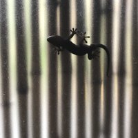 瓢亭 本店 - 