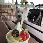 Pinkberry - 