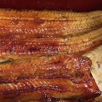 喜代川 - 鰻重竹