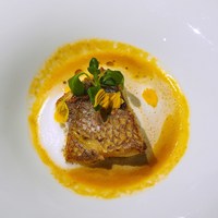 Cucina Italiana 東洞 - 鯛と国産キノコのヴァポーレ サフラン風味