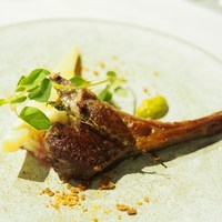 Cucina Italiana 東洞 - 子羊の香草焼き グリーンオリーブのタプナート
