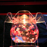 洋食 おがた - アートアクアリウム京都城～京都・金魚の舞～☆