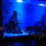 バーハクシ - アクアリウム