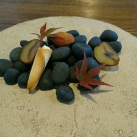 SHOKUDO YArn - 