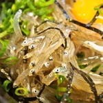 きんちゃく家 - 生しらすと釜揚げしらすハーフ丼