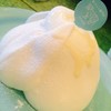 生クリーム専門店 Milk 新宿店