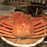 稲城 ヨロシク寿司 - 