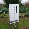 京ヶ瀬豆富 まめ工房いとう