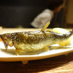 富小路 やま岸 - 