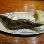 富小路 やま岸 - 