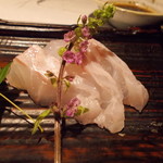 喜助 - 徳島阿南で朝上がったばかりの超高級魚天然本クエのお造り。