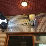 一条流がんこ総本家分家四谷荒木町 - 外観