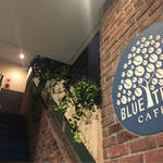 BLUETREE - 