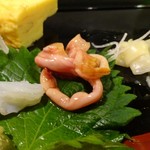 宝寿司分店 - 赤貝の肝とか