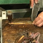 うを徳 - 銀宝ちゃんです