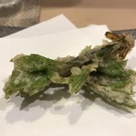 うを徳 - 信州のコシアブラ天ぷら