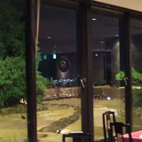 広東料理　翡翠廳 - テーブル席から見える夜景です。