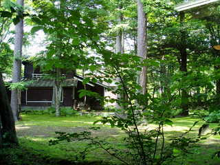 腸詰屋 - 裏窓から見た庭園？