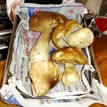 ポンペット - ポルチーニ大きいです！