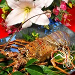 博多の砦 しゃぶしゃぶ・水炊き・もつ鍋 鍋やなだ山 - 