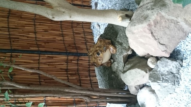 西洋居酒屋 髯乃犬 薬院大通 居酒屋 食べログ