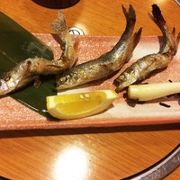季節割烹 勝味 - 