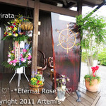 La Pirata ラ・ピラータ - 